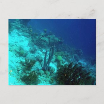 Reef Edge Postcard by h2oWater at Zazzle