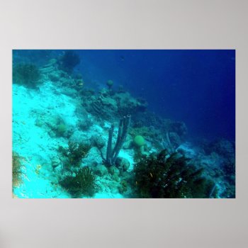 Reef Edge Poster by h2oWater at Zazzle
