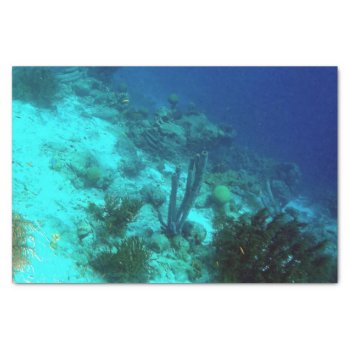 Reef Edge Tissue Paper by h2oWater at Zazzle