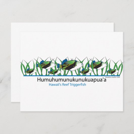 Reef-Fish- (Front/Back)