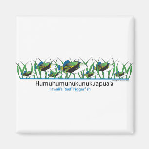Reef-Fish- Magnet
