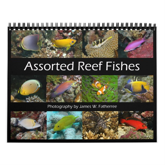 Reef Fishes Wall Calendar 1 by J.W. Fatherree (Cover)