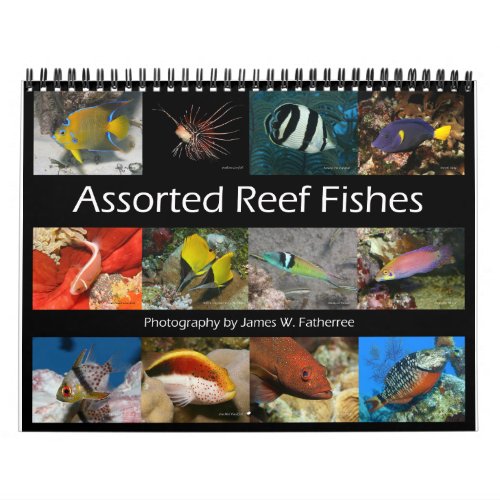 Reef Fishes Wall Calendar 2 by JW Fatherree