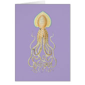 Reef Octopus (Front)