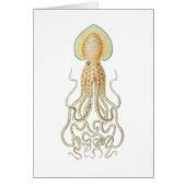 Reef Octopus (Front)