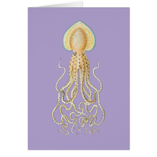 Reef Octopus Cards (Front)