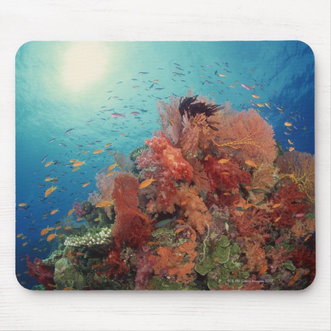 Reef scenic of hard corals , soft corals 2 mouse pad (Front)