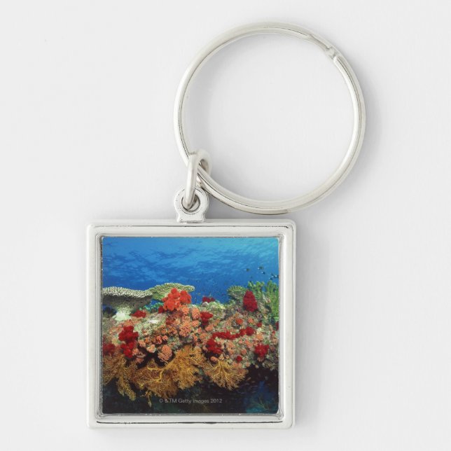 Reef scenic of hard corals , soft corals keychain (Front)