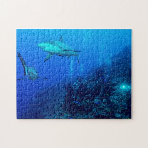 Reef Shark and Divers Jigsaw Puzzle