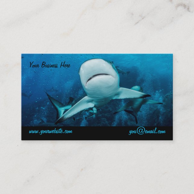 Reef Shark Business Card (Front)