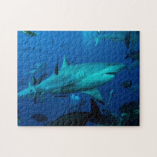 Reef Shark Great Barrier Reef Coral Sea Jigsaw Puzzle