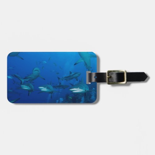 Reef Shark Great Barrier Reef Coral Sea Luggage Tag