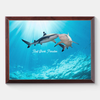 Reef Shark Paradise Award Plaque