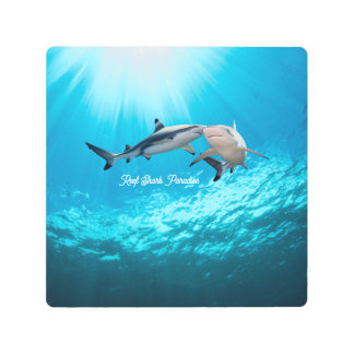 Reef Shark Paradise Metal Print