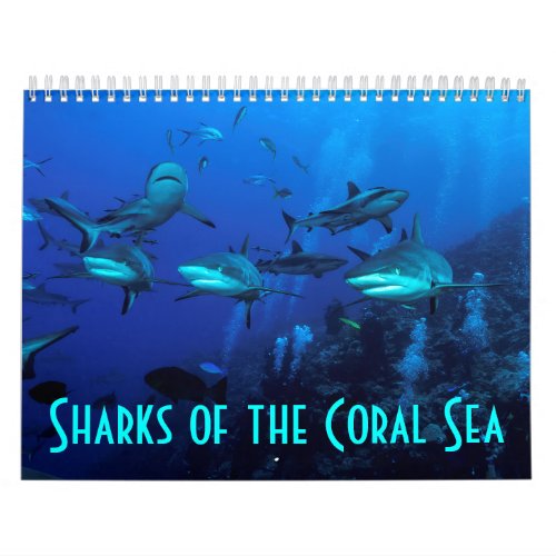 Reef Sharks Great Barrier Reef Coral Sea Calendar