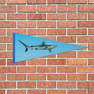 Reefshark - Abstract Design - Cut out of a photo | Pennant Flag