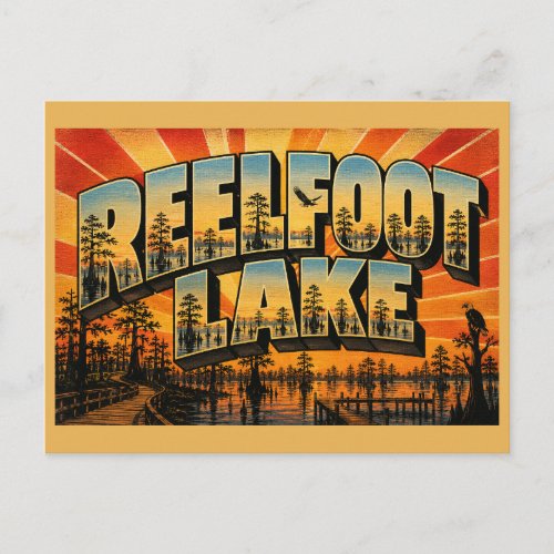 Reelfoot Lake TN Cypress Forest Eagle Art Postcard