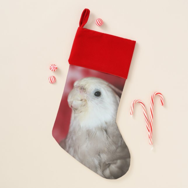Reeples Christmas Stocking (Front)