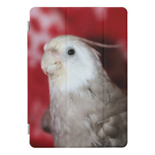 Reeples iPad Pro Cover