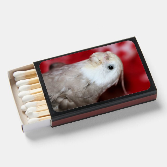 Reeples Matchboxes (Front Open)