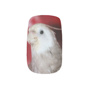 Reeples Minx Nail Wraps