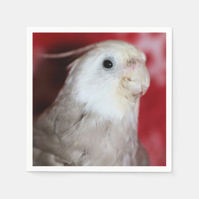 Reeples Napkins (Front)