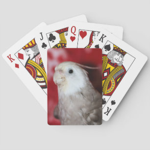 Reeples Poker Cards