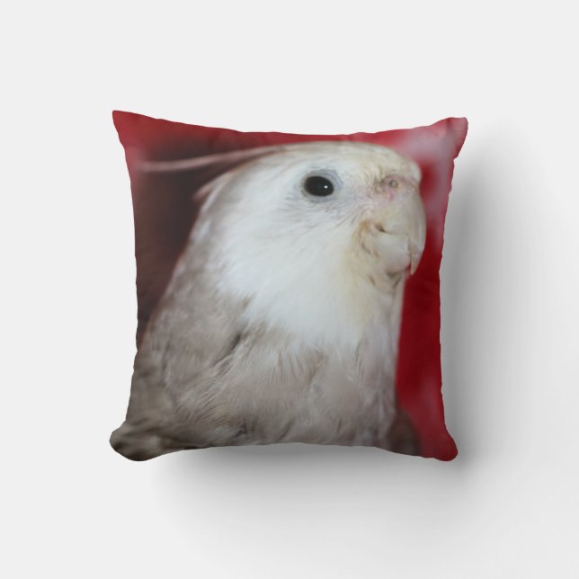 Reeples Throw Pillow (Front)