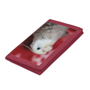 Reeples Trifold Wallet