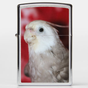 Reeples Zippo Lighter