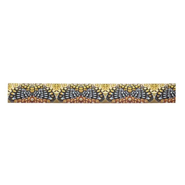Reeve's Pheasant Feather Design - Ribbon (Front)