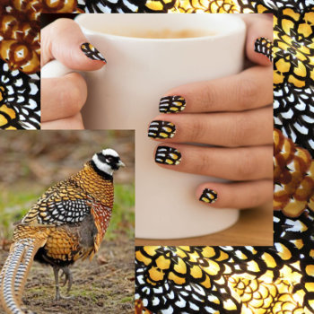 Reeve's Pheasant Feathers - Minx Nail Wraps by CatsEyeViewGifts at Zazzle