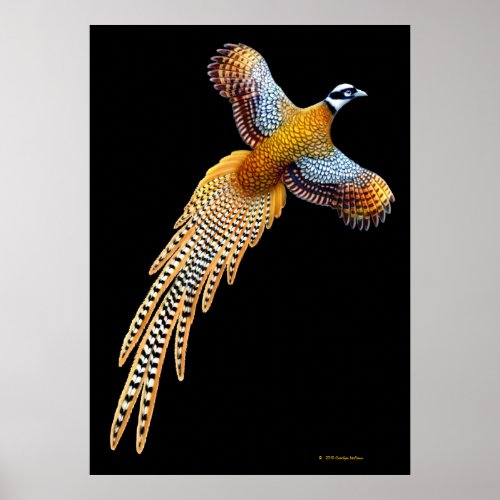 Reeves Pheasant Flying Print