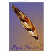 Reeves Pheasant Tail (Front)