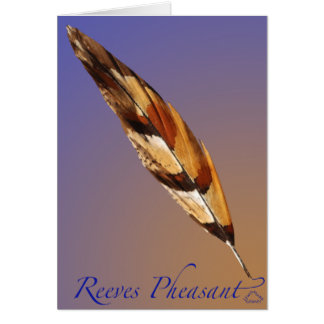 Reeves Pheasant Tail Cards