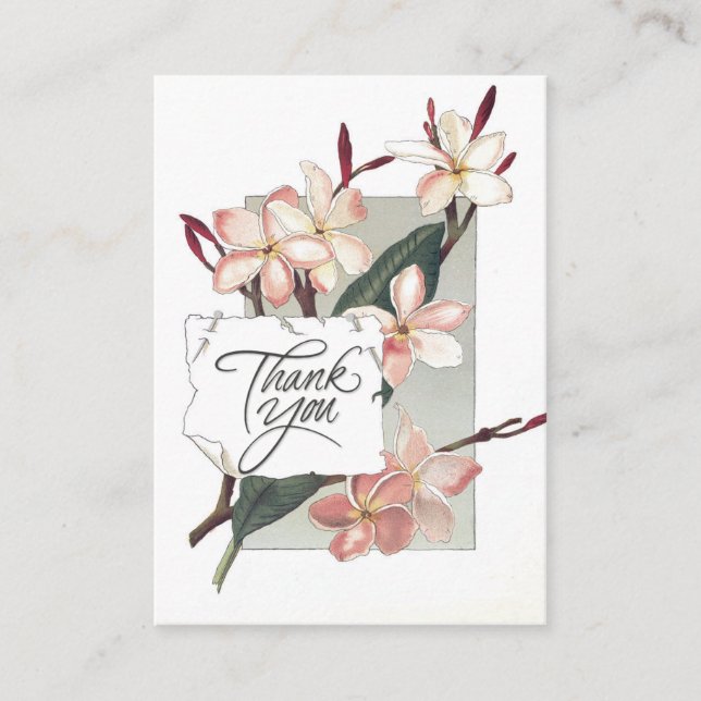 Referral Thank You Vintage Pink Plumeria (Front)