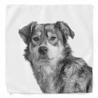 Refined Monochrome Large Mixed Breed Canine Bandana