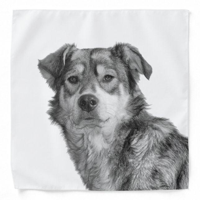 Refined Monochrome Large Mixed Breed Canine Bandana (Front)