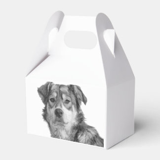 Refined Monochrome Large Mixed Breed Canine Favor Boxes