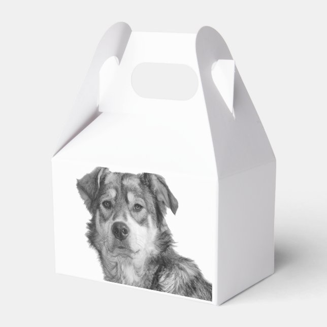 Refined Monochrome Large Mixed Breed Canine Favor Boxes (Front Side)