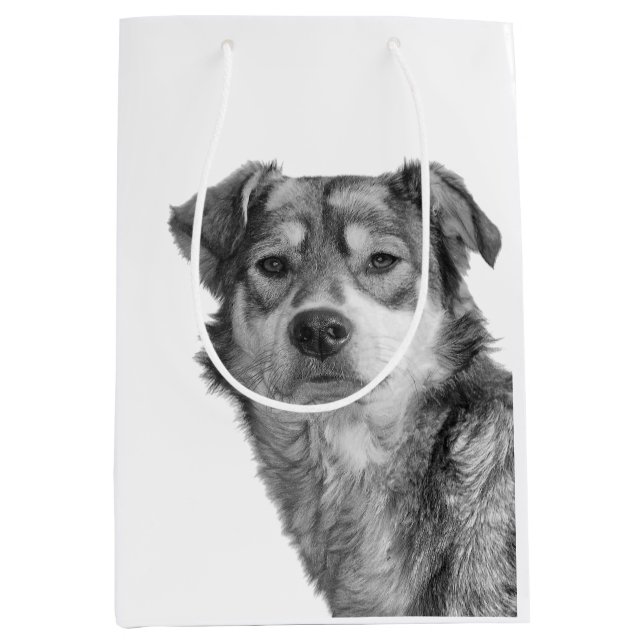Refined Monochrome Large Mixed Breed Canine Medium Gift Bag (Front)