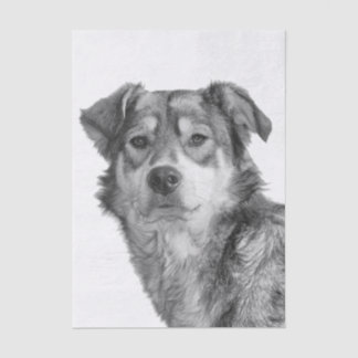 Refined Monochrome Large Mixed Breed Canine Tissue Paper