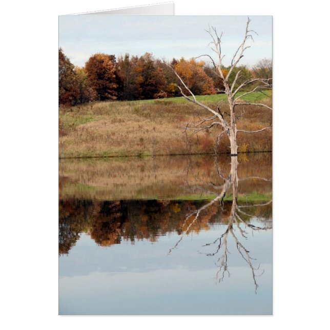Reflect Cards (Front)