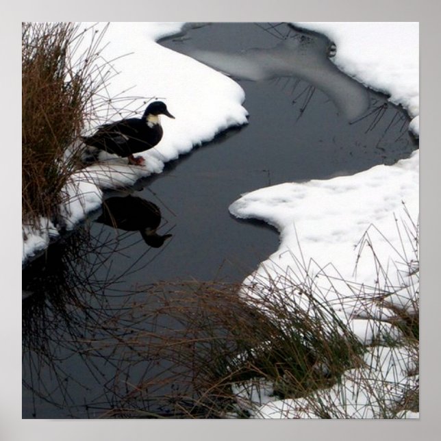 Reflect Poster (Front)