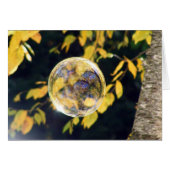 Reflected Autumn Leaves (Front Horizontal)