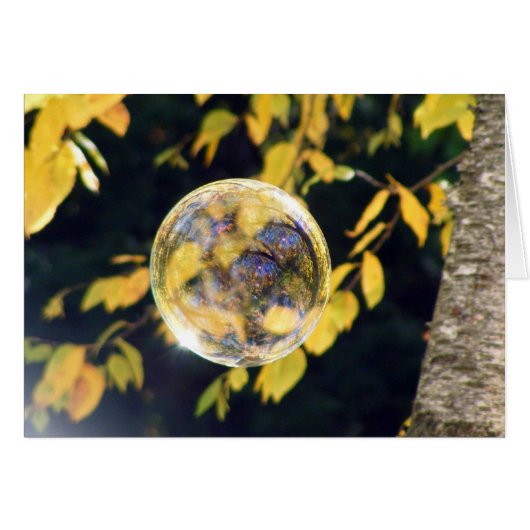 Reflected Autumn Leaves Cards (Front Horizontal)