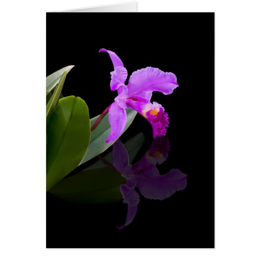 Reflected Beauty Orchid Card (Front)