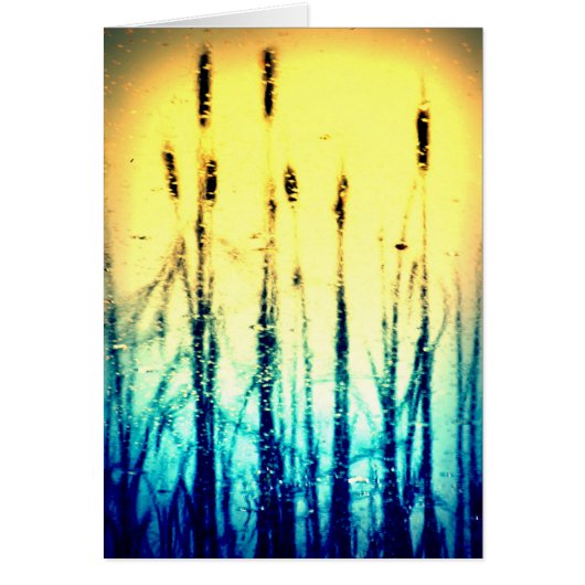 Reflected Glory (Front)