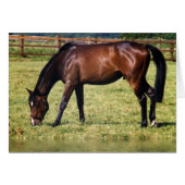 Reflecting Bay (Front Horizontal)