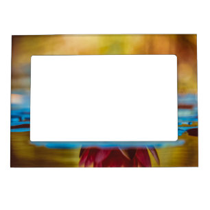 Reflecting Red Water Lily Magnetic Frame